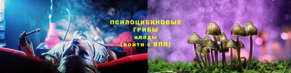 СК Нефтегорск