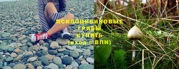 СК Нефтегорск