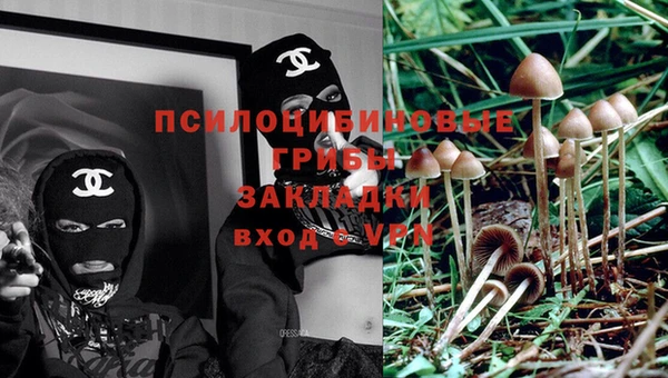 Альфа ПВП Нея