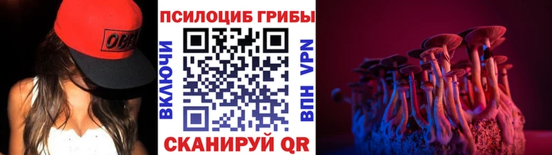 Галлюциногенные грибы мицелий  мега ссылка  Осташков  купить  цена 
